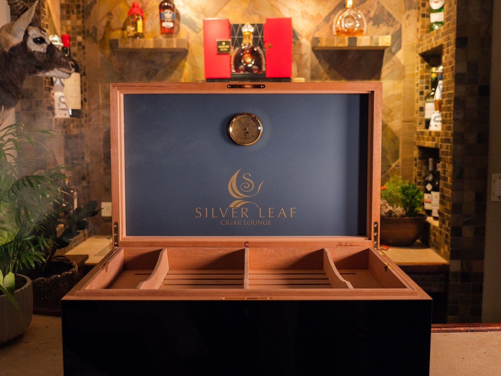 Amerigo Luxury Humidor 2024 [Reseña honesta]-7