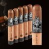 diesel esteli puro