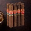 shop ?punch clasico cigars online